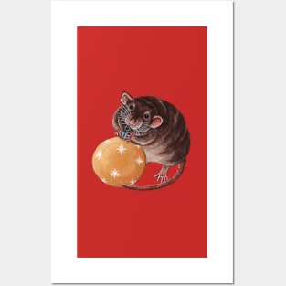 Agouti Rat with Bauble Posters and Art